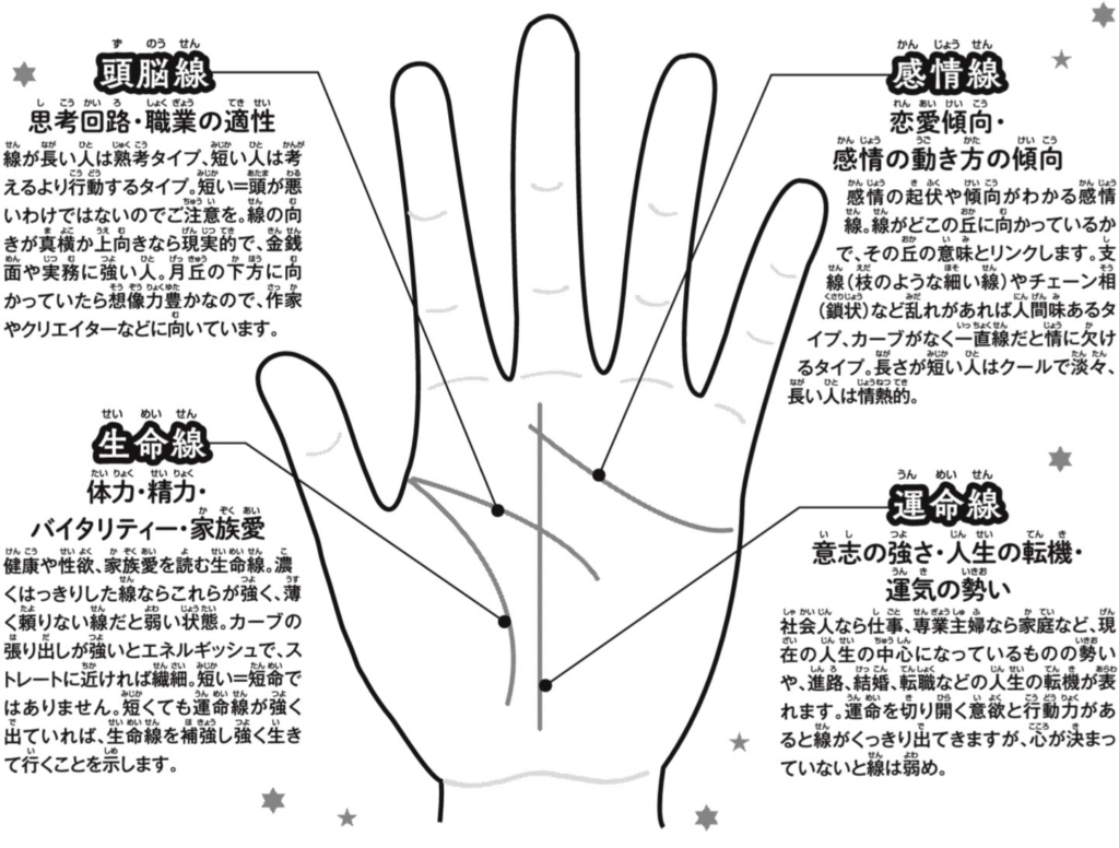 手相初心者 独学で自分の手相を分析して自己理解を深めてみた シバログ